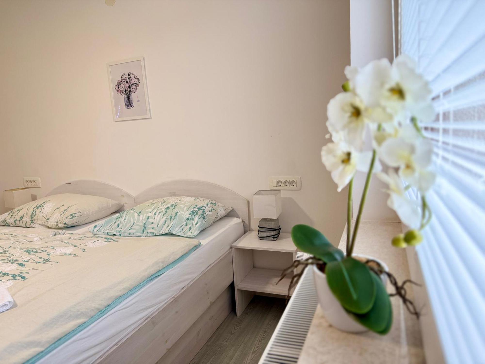 Guest House Kobal Spodnje Gorje Luaran gambar